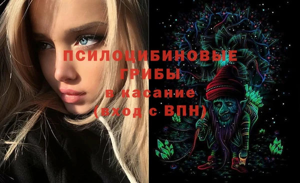 ECSTASY Белоозёрский